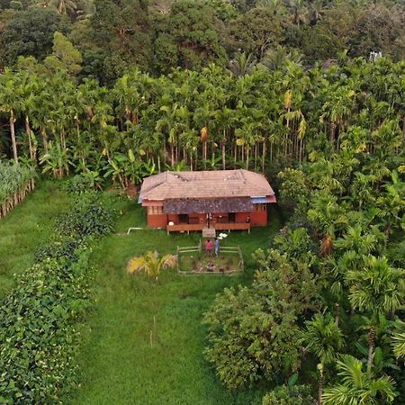Ibbani Homestay, Siddapur المظهر الخارجي الصورة