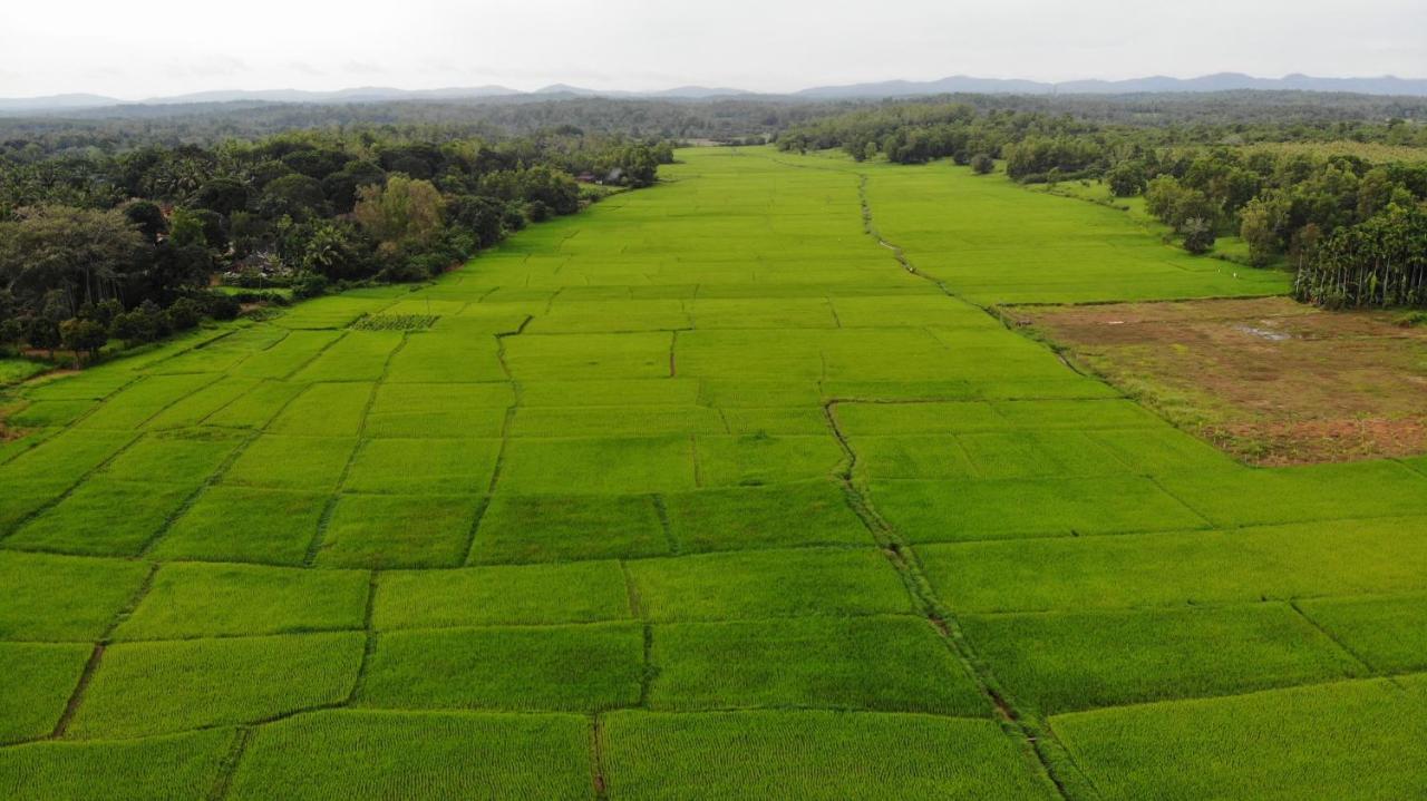 Ibbani Homestay, Siddapur المظهر الخارجي الصورة