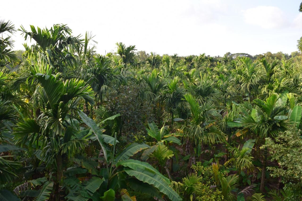 Ibbani Homestay, Siddapur المظهر الخارجي الصورة