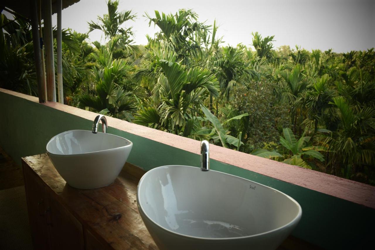 Ibbani Homestay, Siddapur المظهر الخارجي الصورة