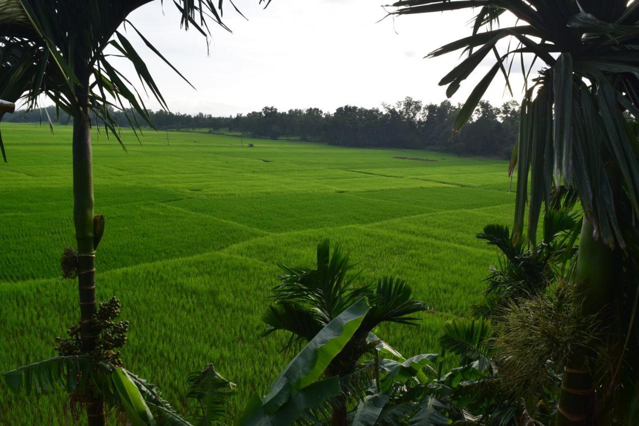 Ibbani Homestay, Siddapur المظهر الخارجي الصورة