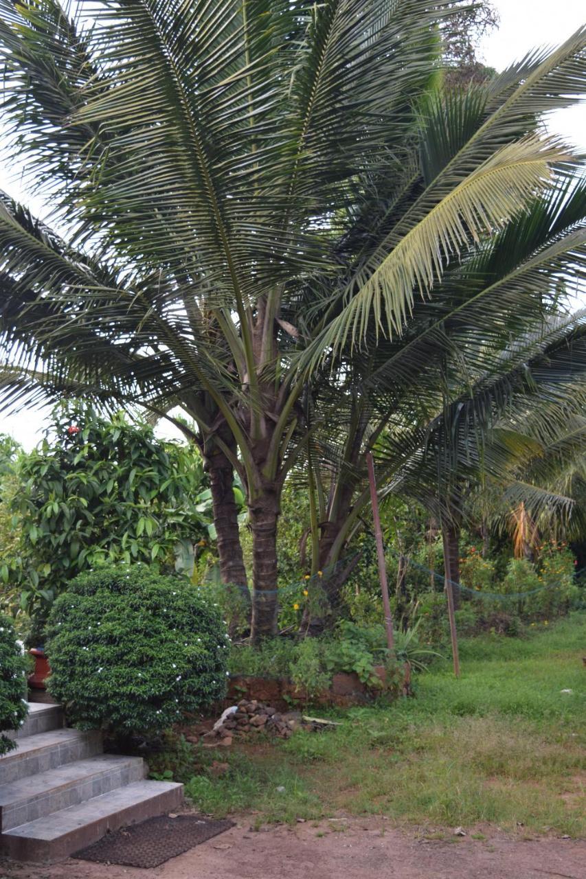 Ibbani Homestay, Siddapur المظهر الخارجي الصورة