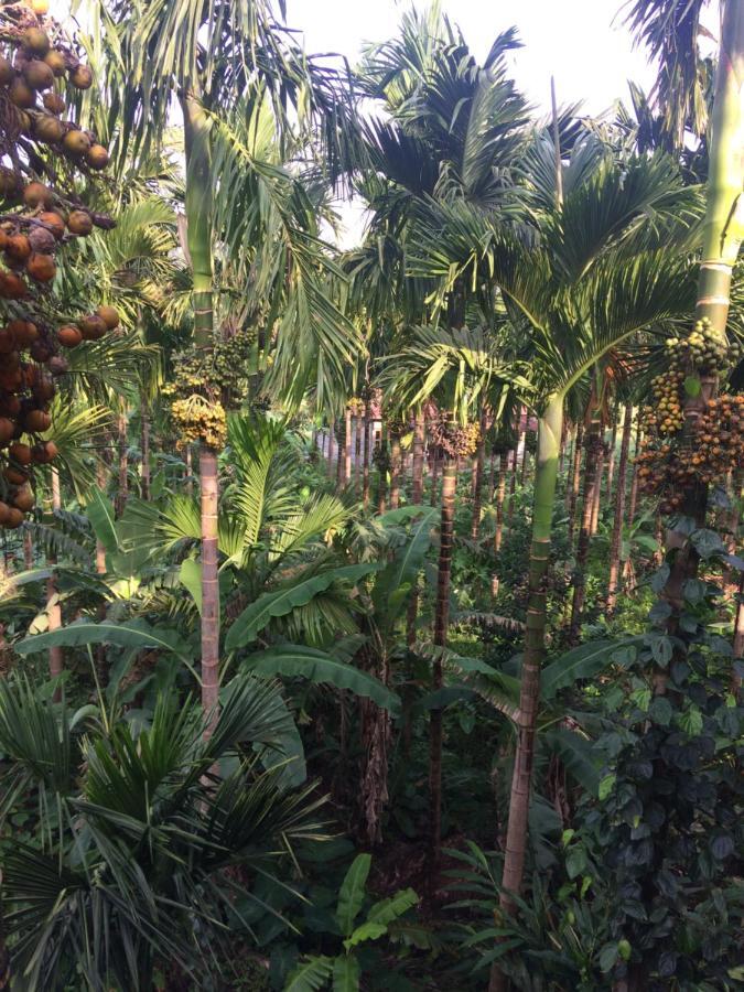 Ibbani Homestay, Siddapur المظهر الخارجي الصورة