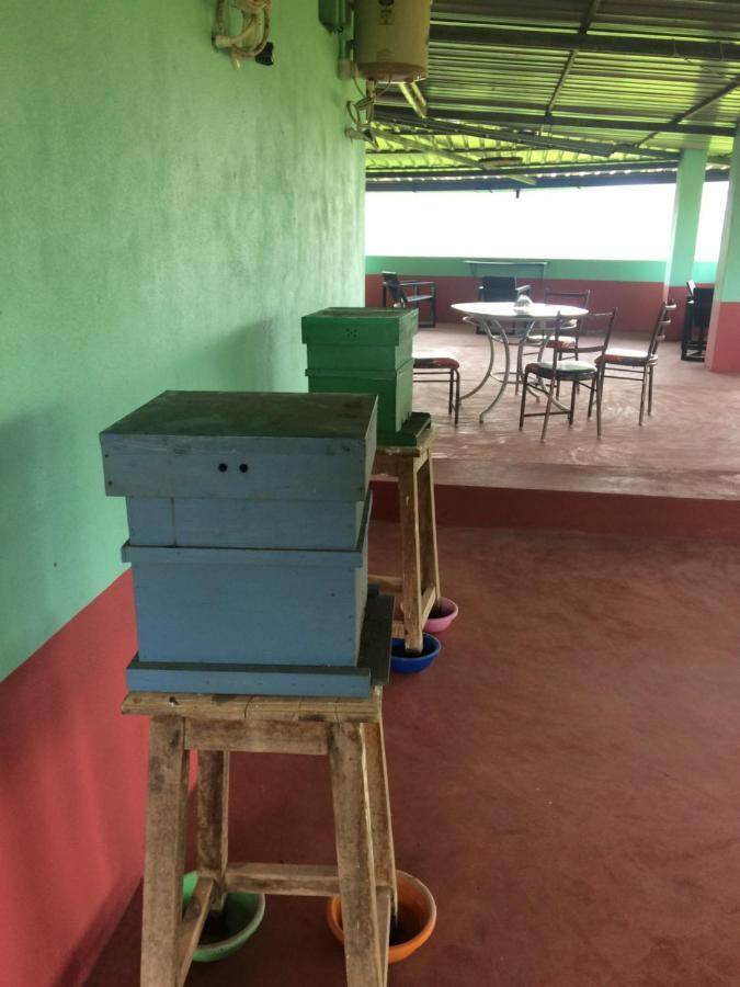 Ibbani Homestay, Siddapur المظهر الخارجي الصورة