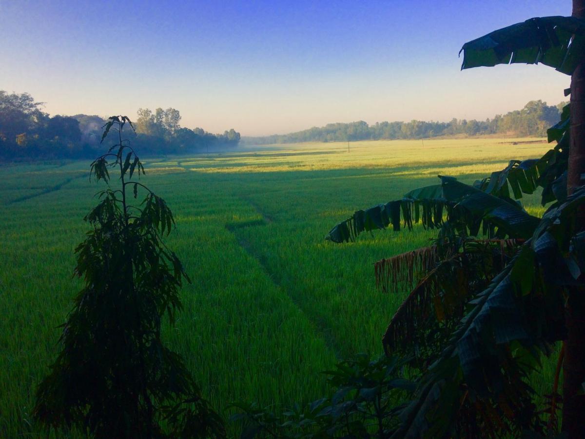 Ibbani Homestay, Siddapur المظهر الخارجي الصورة