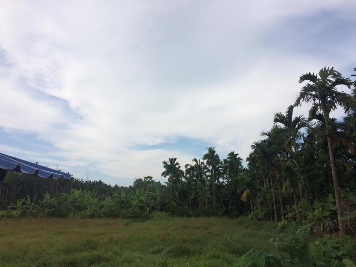 Ibbani Homestay, Siddapur المظهر الخارجي الصورة